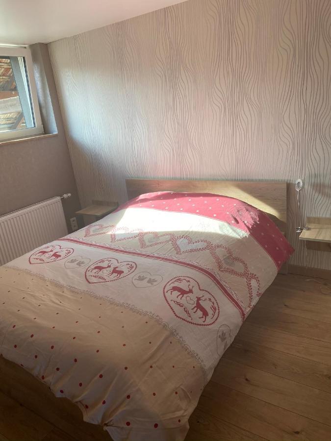 Gites Bretzel Et Cigogne Munwiller Dış mekan fotoğraf