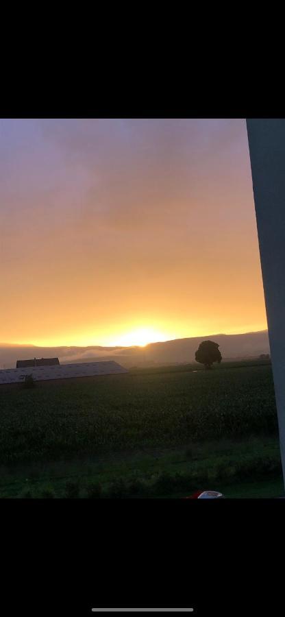 Gites Bretzel Et Cigogne Munwiller Dış mekan fotoğraf